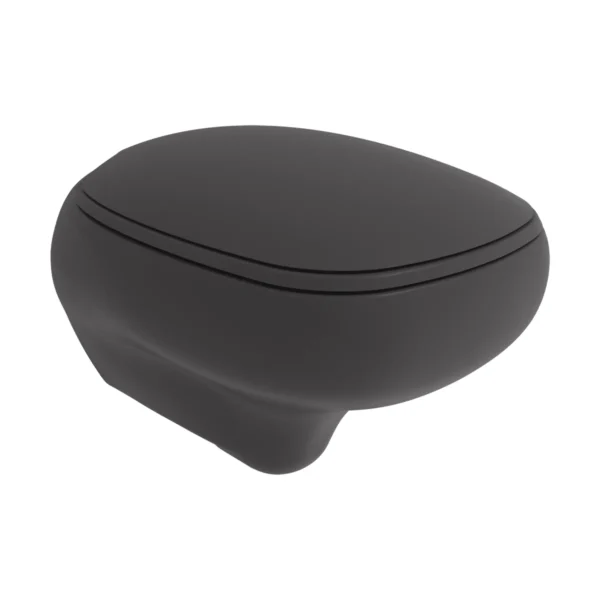 Bocchi Fenice Gizli Taharet Girişli Asma Klozet Mat Antrasit