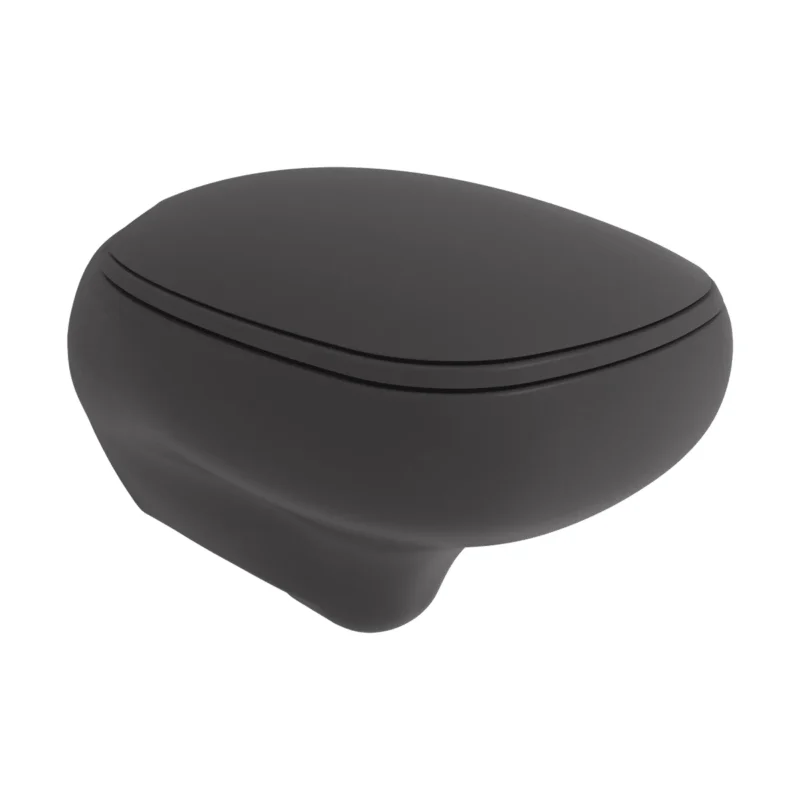 Bocchi Fenice Gizli Taharet Girişli Asma Klozet Mat Antrasit