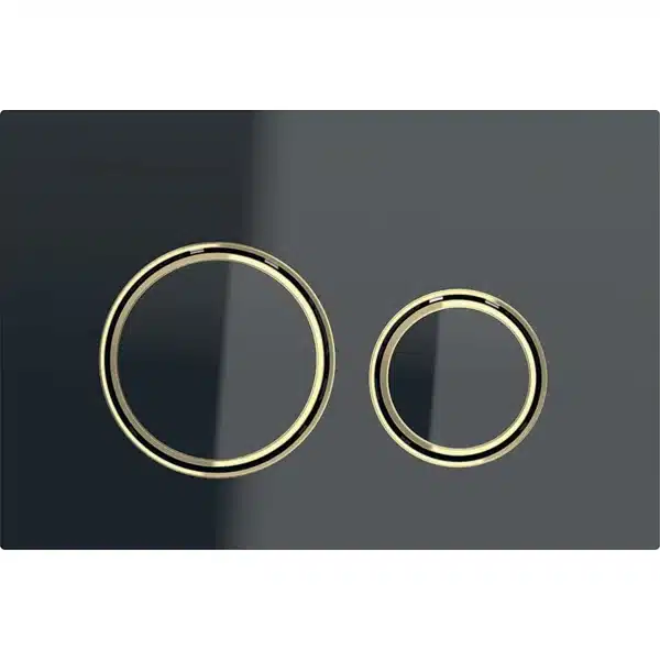 Geberit Kumanda Kapağı Sigma21 Çift Basmalı Siyah Cam / Prinç
