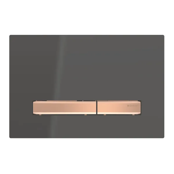 Geberit Kumanda Kapağı Sigma50 Çift Basmalı Siyah / Bronz Geberit Kumanda Kapağı Sigma50 Çift Basmalı Siyah / Bronz