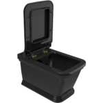 Kale Petra Kanalsız Asma Klozet Ultra Slim Yavaş Kapak Siyah-Altın