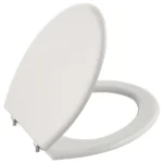 Kale Victorian Kapak