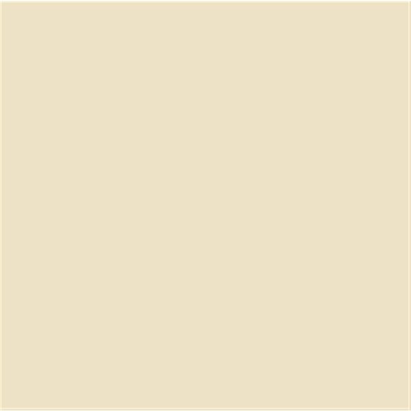 VitrA 20x20, Uni, Fon, Fildişi, R9