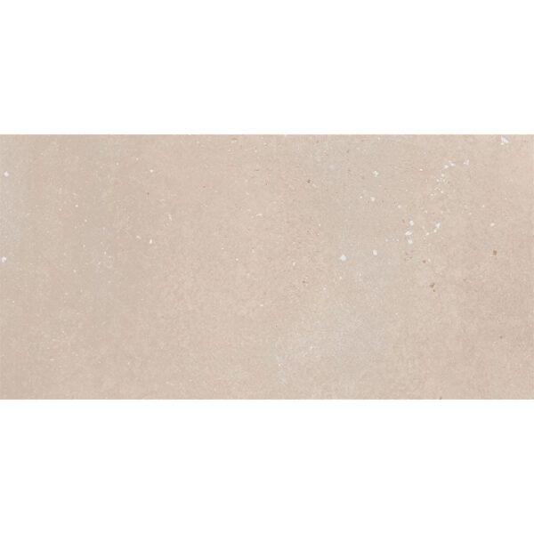 VitrA 60x120, Flakestone, Fon, Açık Grej, R10B