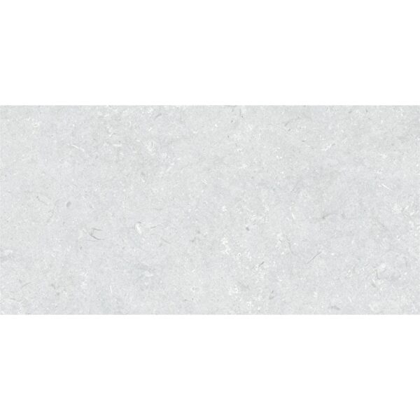 VitrA 60x120, Lightstone, Fon, Fossile Açık Gri, R10A