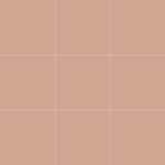 VitrA 10x10, Color 2.0, Fon, Somon, RAL 050 70 20 Somon