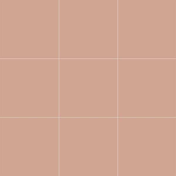 VitrA 10x10, Color 2.0, Fon, Somon, RAL 050 70 20 Somon