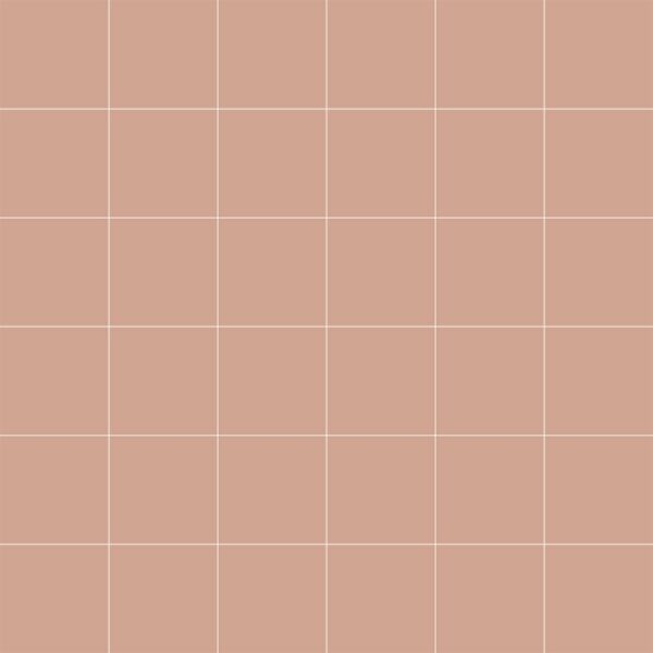 VitrA 5x5, Color 2.0, Fon, Somon, RAL 050 70 20 Somon
