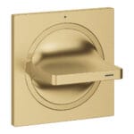 Grohe Allure Ankastre Stop Valf, Brushed Cool Sunrise